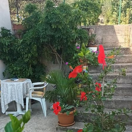 Flash Daire Šibenik Dış mekan fotoğraf