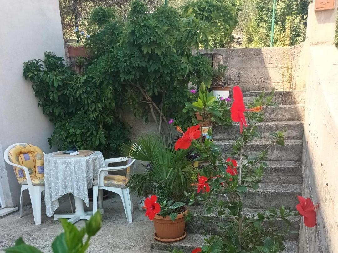 Flash Daire Šibenik Dış mekan fotoğraf